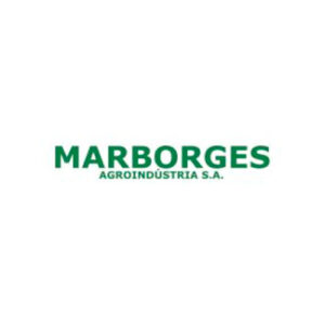 logo-marborges